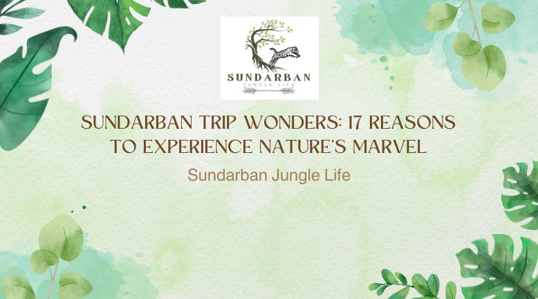 Sundarban Trip Wonders: 17 Reasons to Experience Nature’s Marvel