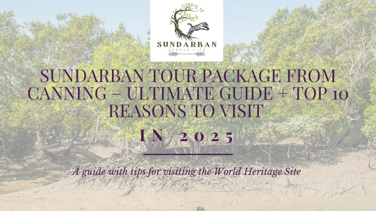 🌿 Sundarban Tour Package from Canning – Ultimate Guide + Top 10 Reasons to Visit in 2025
