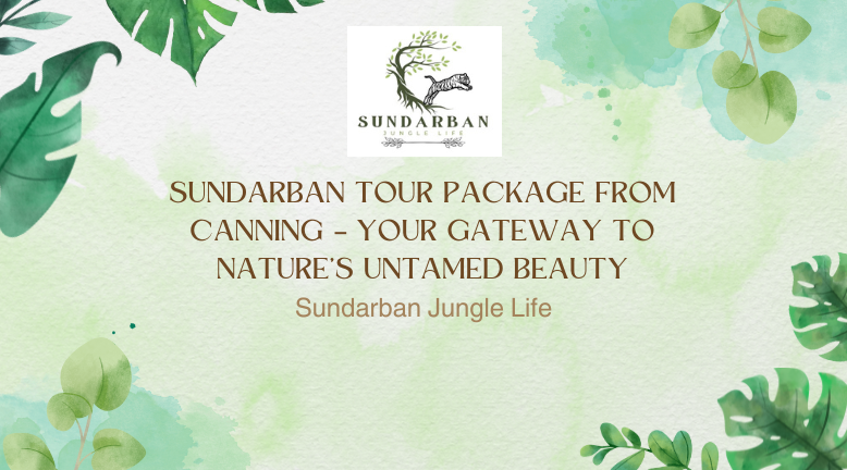 Sundarban Tour Package from Canning – Your Gateway to Nature’s Untamed Beauty