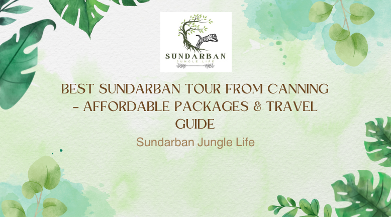Best Sundarban Tour from Canning – Affordable Packages & Travel Guide
