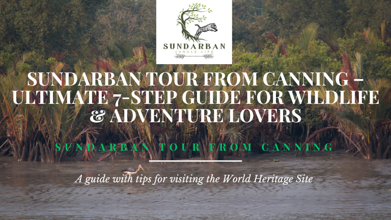 Sundarban Tour from Canning – Ultimate 7-Step Guide for Wildlife & Adventure Lovers