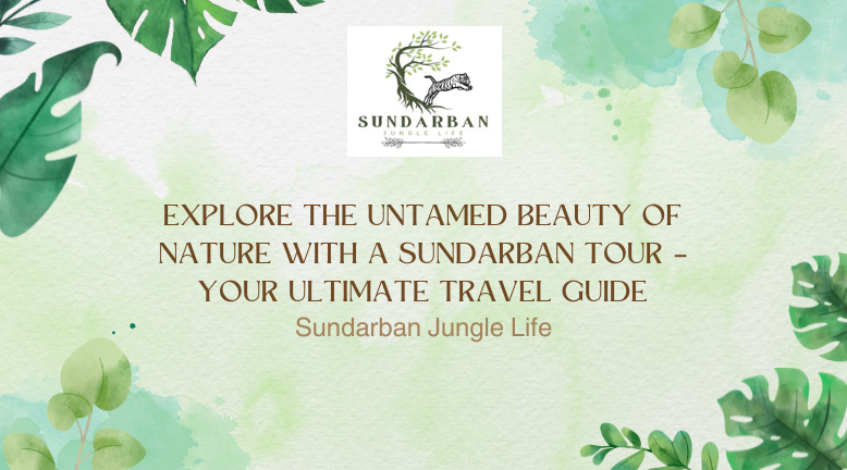 Sundarban Tour Explore the Untamed Beauty of Nature – Your Ultimate Travel Guide