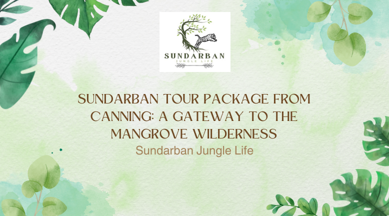 Sundarban Tour Package from Canning: A Gateway to the Mangrove Wilderness
